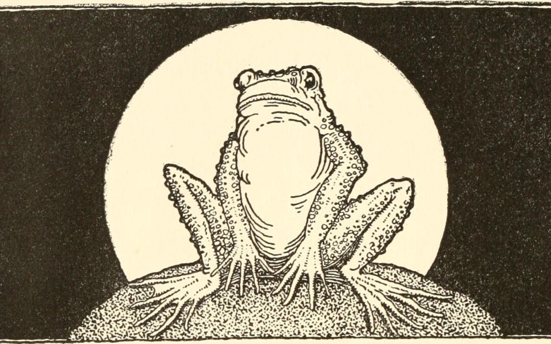 Ένα σύντομο σχόλιο για τον κατά Γκαρπ κόσμο